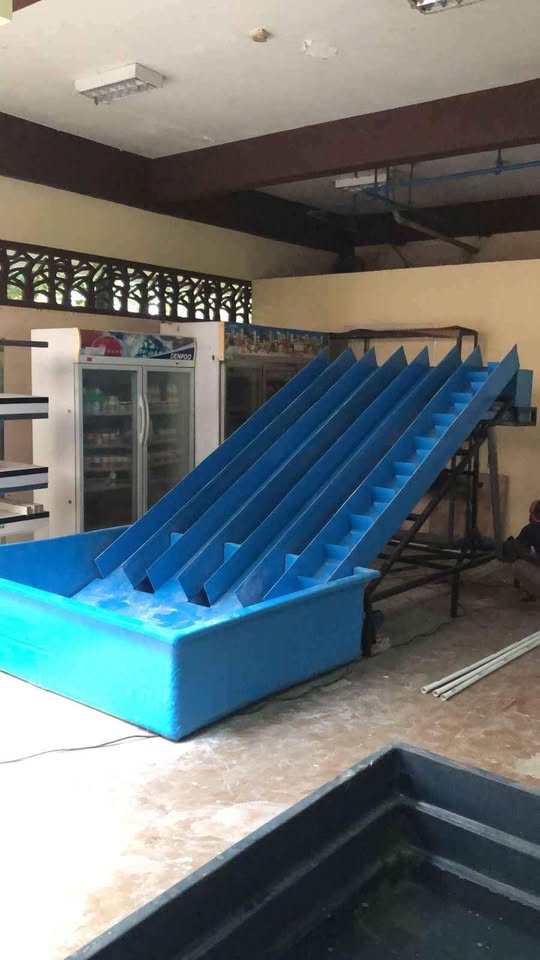 Bak Fiberglass BIONUS®: Solusi Wadah Serbaguna untuk Budidaya, Industri, dan Rumah Tangga - BIONUS®